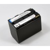 Replacement Battery for Canon BP-970
